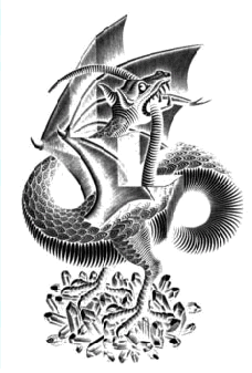 Dragon Escher